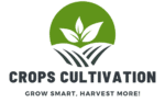 cropped crops cultivation.png