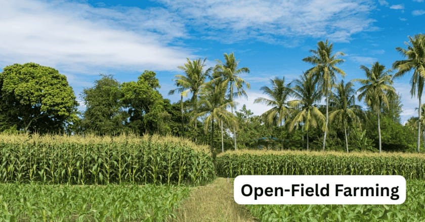 10 Best Money Making Agriculture Business Ideas for 2025