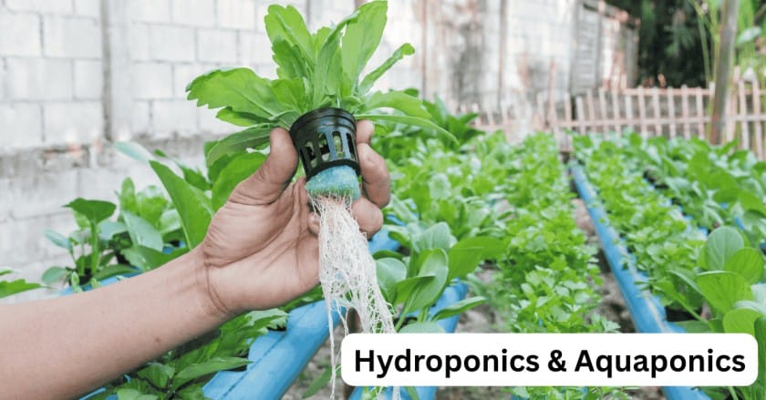 10 Best Money Making Agriculture Business Ideas for 2025