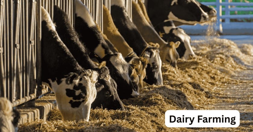 10 Best Money Making Agriculture Business Ideas for 2025