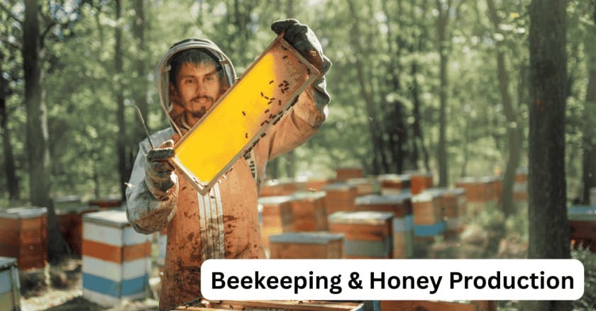 10 Best Money Making Agriculture Business Ideas for 2025