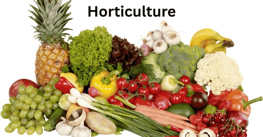 10 Best Money Making Agriculture Business Ideas for 2025