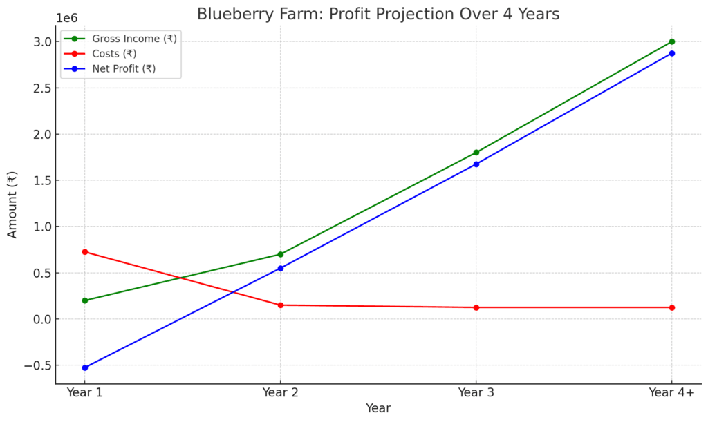 Blueberry farming profit projection chart 