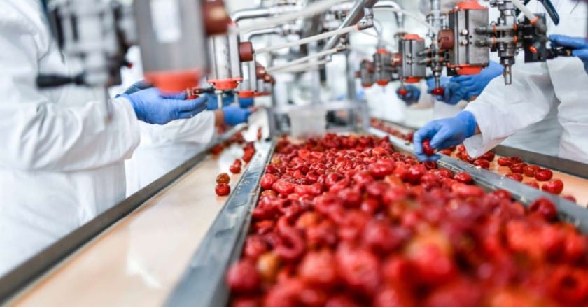 Food processing unit - 10 Non-Traditional Agriculture Business Ideas