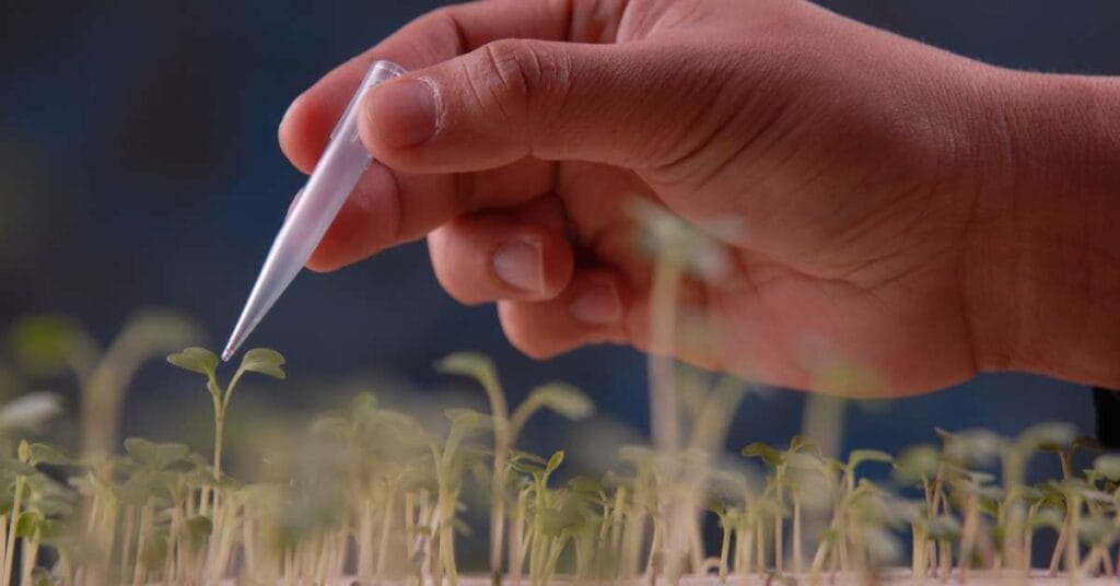 Observing growth of tissue culture plants