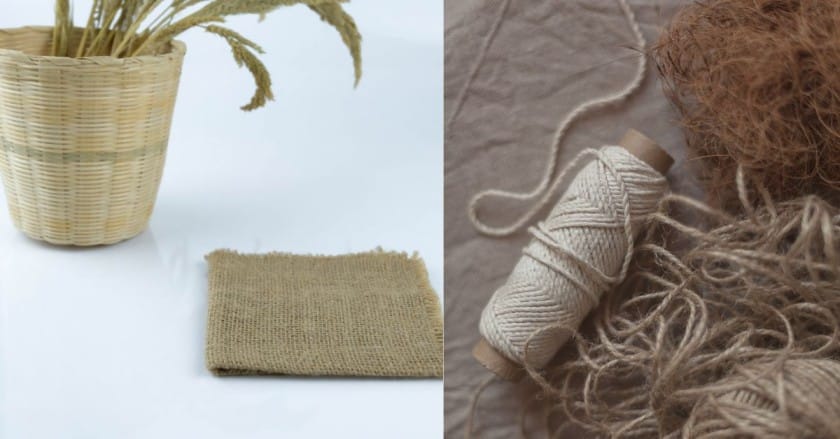 jute cultivation in india