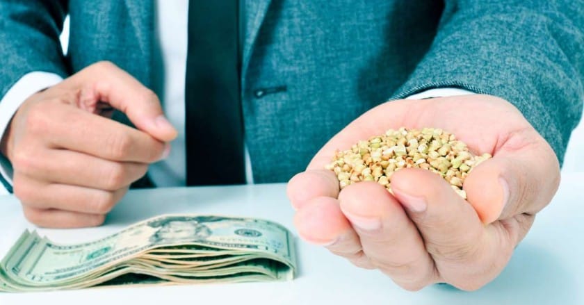 Seed Supply - 10 Non-Traditional Agriculture Business Ideas