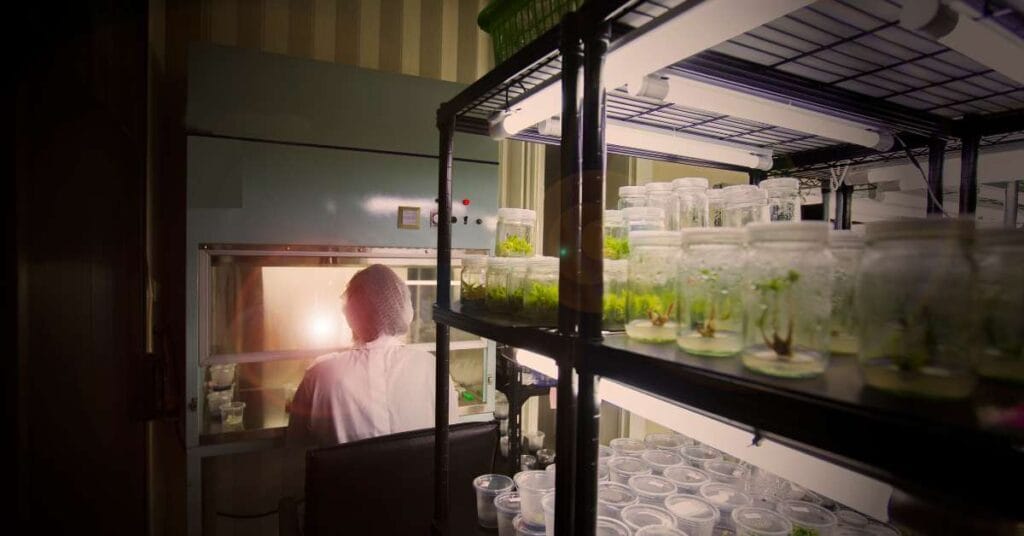 Biotechnology Careers in India