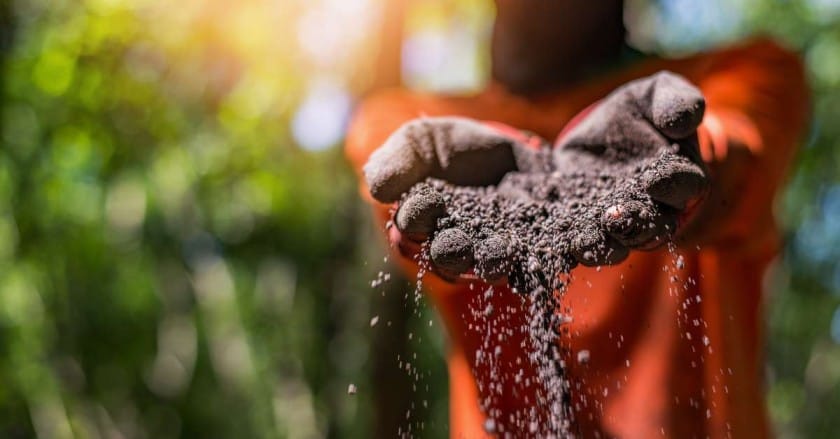 organic fertlizer production - 10 Non-Traditional Agriculture Business Ideas
