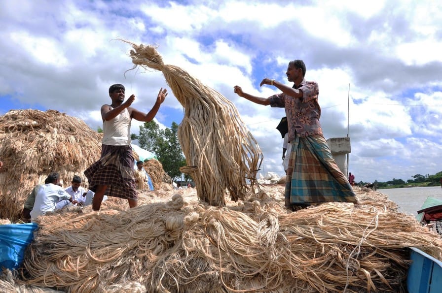 Jute Cultivation in India: A Sustainable Fibre Revolution