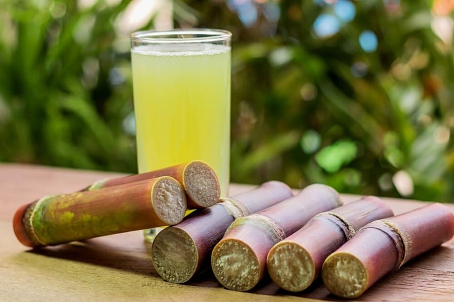 Sugarcane Cultivation in India: Area, Yield, Varieties, and Government Support
