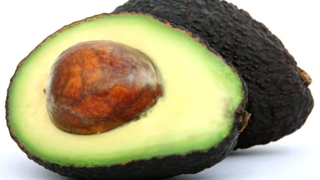 Avocado Cultivation in India: A Profitable Farming Revolution