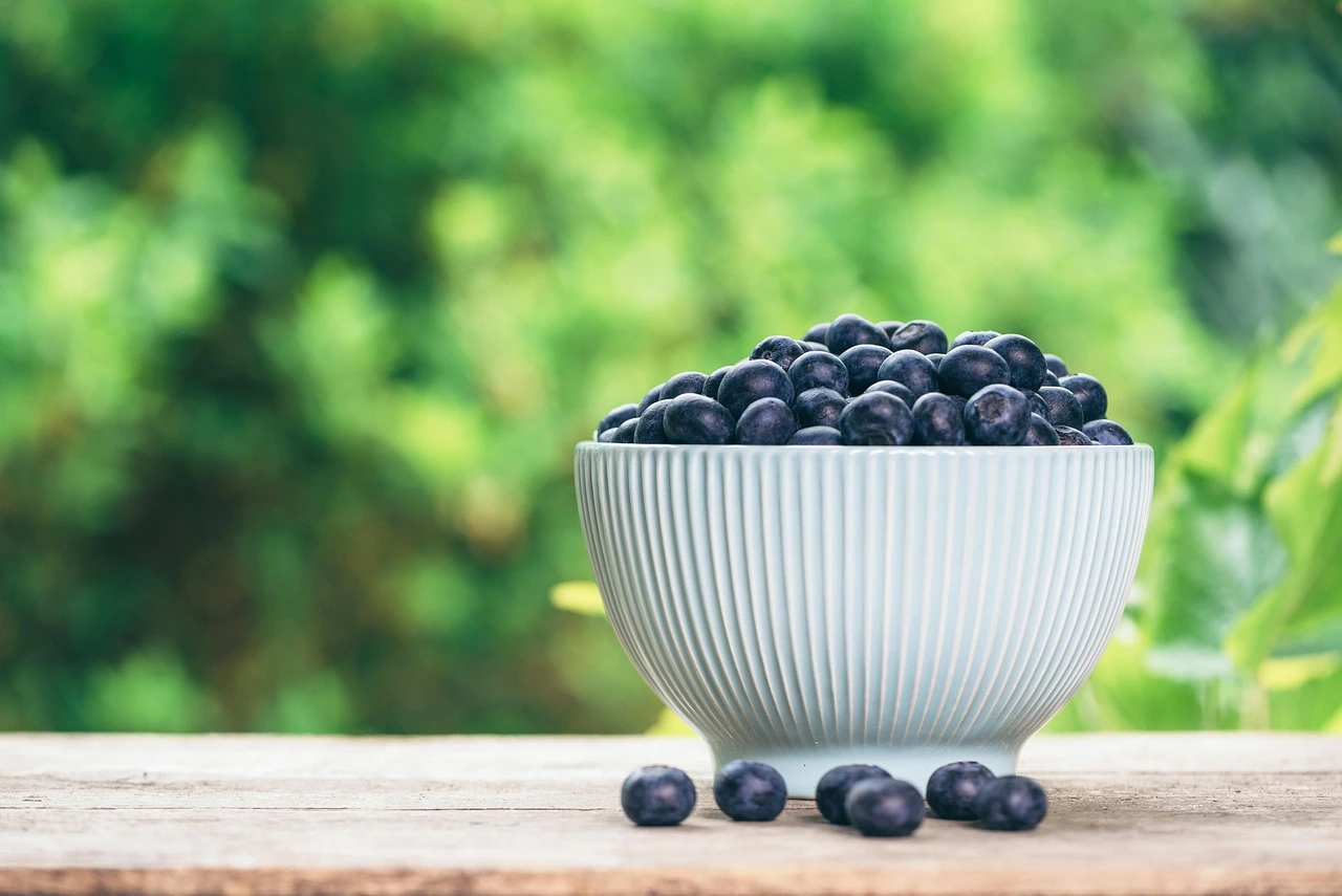 Blueberry farming profit per acre in India