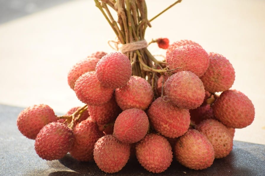  Litchi Cultivation in India: Yield, Profit & Benefits per Acre
