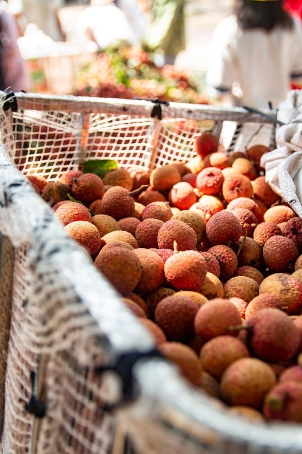 Litchi Cultivation in India: Yield, Profit & Benefits per Acre
