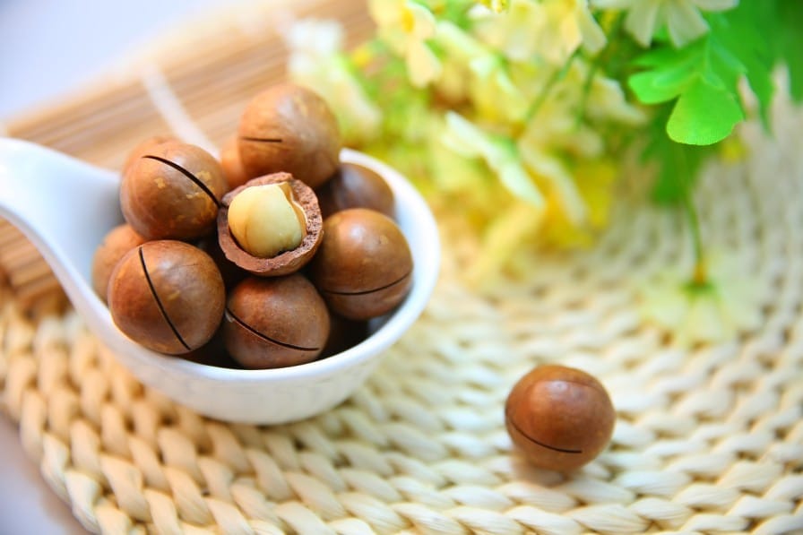 Macadamia Nut Cultivation in India