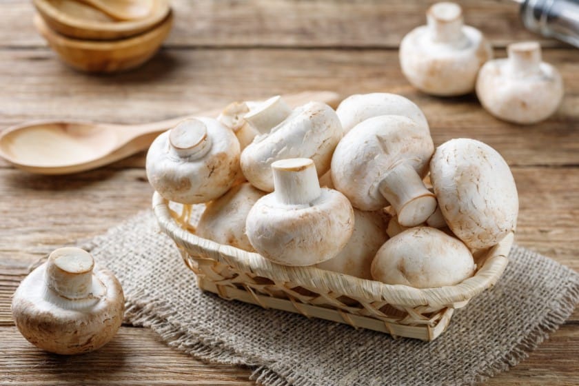 Harvesting button mushrooms