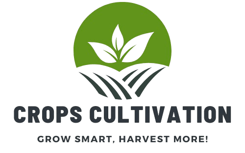 cropped cropped crops cultivation removebg preview